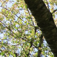 img_00010.jpg
