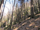 img_0010.jpg