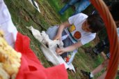 img_0031.jpg