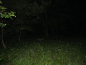 img_0071.jpg
